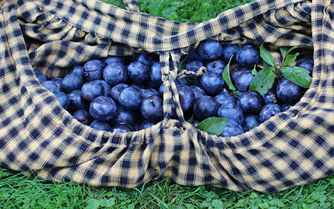 I am an Unexpected Grower of Plums.