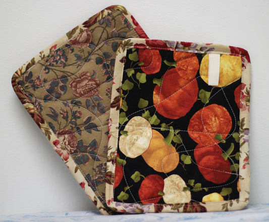 Potholder Set #25